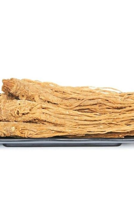 Angelica Sinensis
