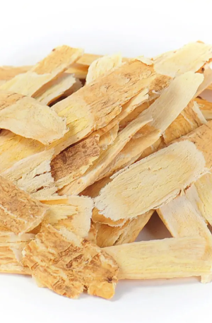 黄芪Astragalus membranaceus