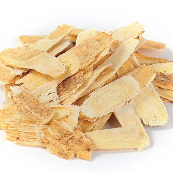 黄芪Astragalus membranaceus