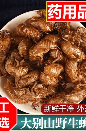 大别山蝉蜕250g金蝉衣野生蝉衣中药知了壳