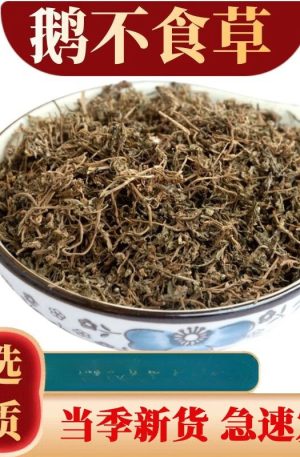 胡荽250克 鹅不食草石胡荽食胡荽中药材