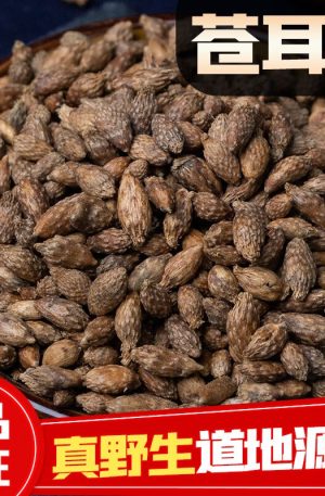 苍耳子中药材500g野生 老籽仓耳子泡茶磨苍耳子粉带刺苍耳子