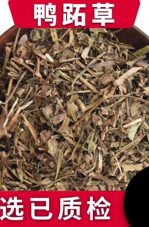鸭跖草250克 鸭鹊草 鸭趾草