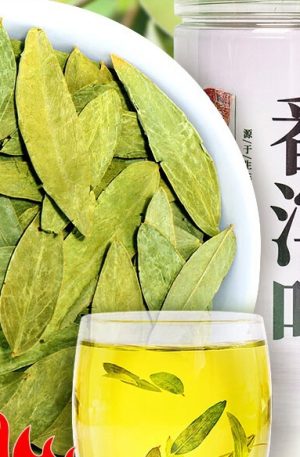 番泻叶片250克番茄叶独立包装 番泻叶番泻叶茶包潘泄叶茶