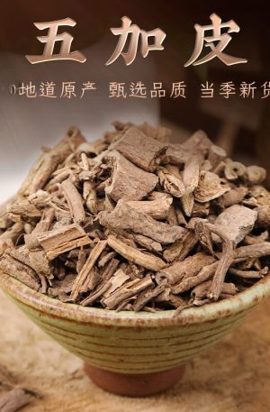 五加皮250克 精选南五加皮