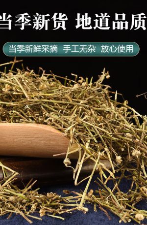 白花蛇舌草250g  蛇舌草茶 白花蛇草