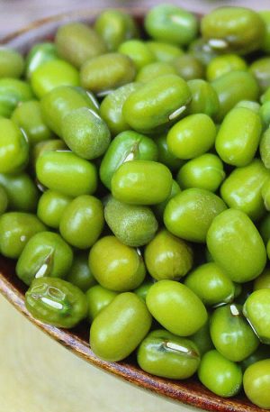 绿豆250克新货农家小绿豆