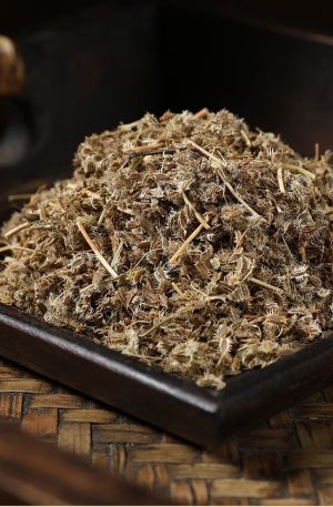鹤虱250克 南鹤虱 虱子草