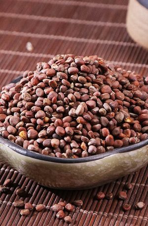 莱菔子250g 精选特级新货莱菔子萝卜籽中药材原料