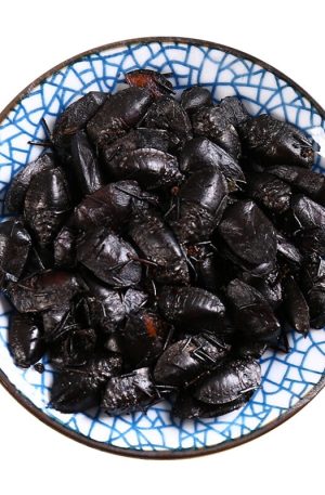 九香虫 250g
