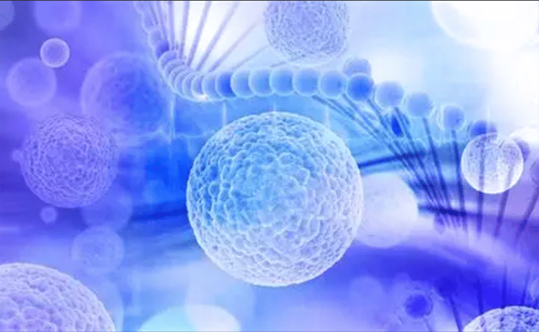 Taiwanese Researchers Discover Acupuncture Triggers Stem Cell Release